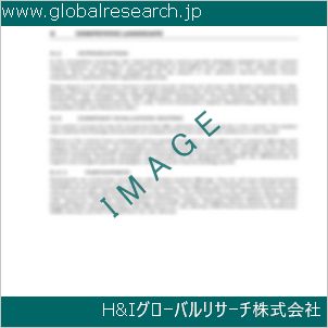 グローバルリサーチ調査資料のイメージ